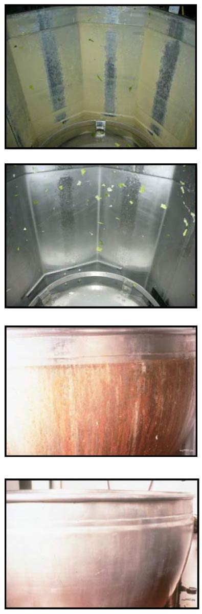 Food and Beverage Cleaning